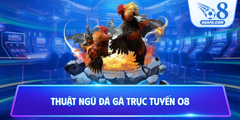 Thuật ngữ đá gà trực tiếp O8